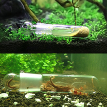 Snail Leech Vivarium Pest Catch Trap Shrimp Worm Planaria Leech Catcher Aquarium 2024 - buy cheap