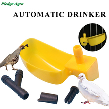 2PCS poultry drinking bowl quail pigeons accessories cage drinker drinkers waterer watering plastic automatic water for birds 2024 - buy cheap