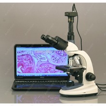 Teaching Training Microscope-AmScope Supplies 40X-2000X 3W LED Trinocular Compound Microscope 2024 - buy cheap
