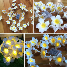 Hawaiian Foam Artificial Plumeria flower Led String Lights Bedroom Home Decor Battery Operated fairy lights for wedding party 2024 - buy cheap