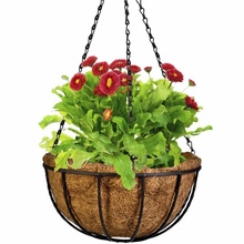 2pcs Wrought Coconut Half round Flowerpot Hanging Basket Rattan Decor Pots Iron Flower Basket with Chain Balcony Decoration 2024 - buy cheap