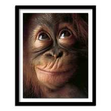 5D DIY round/square Diamond Embroidery Ape Apes Orangutan Chimpanzee Monkey Diamond Painting Cross Stitch Animal Home Decor v351 2024 - buy cheap