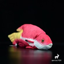Boneco de pelúcia tricolor arowana, brinquedo infantil de pelúcia, peixe tropical macio, lojas para presente de aniversário 2024 - compre barato