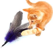 5PCS Bird feather Wand Cat Toy Interesting Interactive Toys Refill Home gatos Gift Cat Feather Toys 2017 Newest 2024 - buy cheap