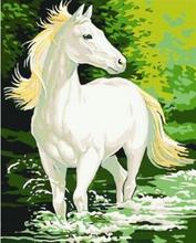 Белая лошадь картина по номерам ручная роспись Раскраска по номерам на холсте настенные картины для гостиной 2024 - купить недорого