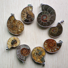 Wholesale 8pcs/lot fashion Natural Stone Ammonite Snail shell Fossils  pendants for jewelry Accessories making free shipping 2024 - buy cheap