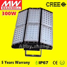 Industrial Lighting LED Lamp 300W Tunnel Light CREE Chip 3030 Meanwell driver LED Floodlights AC85-277V Free Shipping 2024 - buy cheap