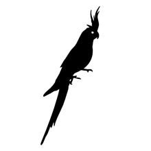 Cockatiel Bird  Car Truck Bumper Laptop Window Vinyl Decal Sticker Cute And Interesting Fashion Sticker Decals 2024 - buy cheap