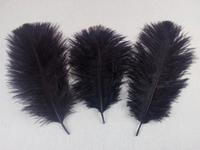 10 pcs quality black ostrich feathers, 6-8inches / 15-20cm, DIY wedding decorations 2024 - buy cheap