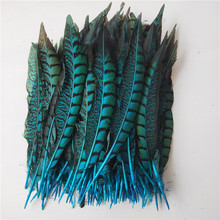 50 unids/lote plumas de la cola faisán femenino 25-30CM plumas naturales de faisán lago Azul para manualidades DIY decoraciones de boda plumas 2024 - compra barato