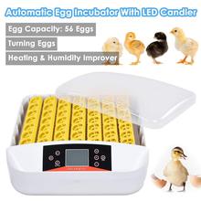 56 Eggs Incubator Chicken Duck And Other Poultry Automatic Incubator Poultry Eggs Poultry Incubation Equipment 2024 - buy cheap