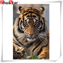 5d diamond painting full square / round diamond embroidery serious tiger rhinestone DIY mosaic home decoration drop shipping 2024 - compre barato