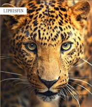 5D Wild Leopard Diamond Painting Animals Series Cross Stitch Diamond Embroidery Crafts Home Decor 2024 - buy cheap