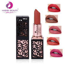 Habibi Beauty-lápiz labial mate, barra de labios hidratante de 24 colores, resistente al agua, larga duración, color nude, marrón, crema de labios, calabaza, HB16 2024 - compra barato