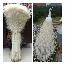 Wholesale 50pcs beautiful white peacock feather eye 70-80cm / 28-32inch decorative celebration stage performance diy 2024 - buy cheap