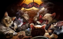 Living Room Art Wall Decor animals cat poker cards game Oil painting Picture HD Printed On Canvas For Home Decoration 2024 - buy cheap