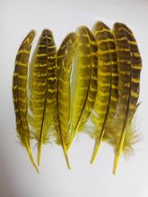 New!20 pc pretty yellow pheasant feather, 4-6 "/ 10-15cm long, DIY jewelry decorative accessories 2024 - buy cheap