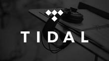 1 год гарантии для Tidal Премиум подписки на ПК Смарт-телевизоров набор топ коробки Android IOS планшеты шт 2024 - купить недорого