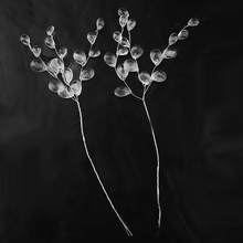 50 шт Искусственный цветок стержень с Хрустальные акриловые бусины-капли Свадебный букет невесты 2024 - купить недорого