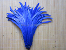 wholesale 20pcs/lot natural Royal blue Beautiful Rooster feathers 35-40cm 14-16Inch 2024 - buy cheap