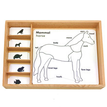 Montessori Language Materials 3 Parts Card Animal Growth Cards Learning Educational Wooden Toys Juguetes Montessori E2864H 2024 - buy cheap