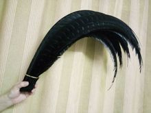 Free shipping wholesale 100pcs natural color black Lady Amherst Pheasant Feathers 80-90cm /32-36inch Stage Accessories 2024 - buy cheap