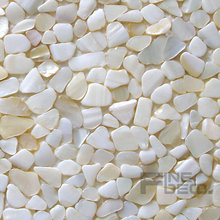 natural white color 100% natural oyster mosaic tile for home decoration 2024 - buy cheap