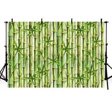 Photography Backdrop Bamboo Forest Panda Spring Green Background Photo Studio Photocall Shoot Prop Decor Fabric New LV1813 2024 - buy cheap