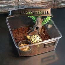 Plastic Container Reptile Feeding Box Spider Scorpion Insect Terrarium Breeding Box 2024 - buy cheap