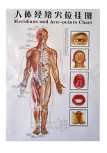 3 шт., 50*80 см, диаграмма меридианов и полуточек, акупунктурный массаж, настенная диаграмма на китайском и английском языках 2024 - купить недорого