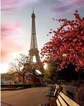 Бесплатная доставка, новое поступление, 25 см, модель Парижской Эйфелевой башни, статуэтка, свадебное украшение/домашний декор 2024 - купить недорого