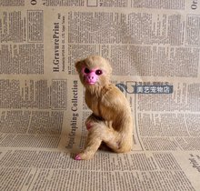 simulation small monkey 9x6x12cm toy model polyethylene&furs monkey model home decoration props ,model gift d076 2024 - buy cheap