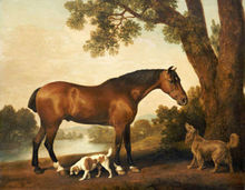 Arte grande pintura al óleo cazador y Spaniels caballo perro en paisaje sobre lienzo 36" 2024 - compra barato