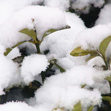 Искусственные снежинки, поддельные Волшебные мгновенные снежинки, праздничные украшения для сада, рождественские, свадебные искусственные снежинки 2024 - купить недорого