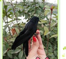 Cerca de 12cm penas pretas de pássaro corvo penas artesanato adereço, decoração para casa jardim presente p0397 2024 - compre barato