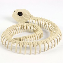 Skeleton Skull Skeleton Bones for Horror Halloween Decoration Pary Bar Haunted House Snake 2024 - buy cheap