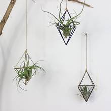 Hanging Basket Air Plants Rack Metal Geometric Diamond Iron Art Flower Planter Pot Gardening Accessories Home Office Decor 2024 - buy cheap