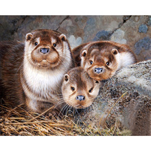 Full Square / Round 5D DIY Diamond Painting "Animal Otter" Diamond Embroidery Sale picture of rhinestones Decorative gift GH361 2024 - buy cheap