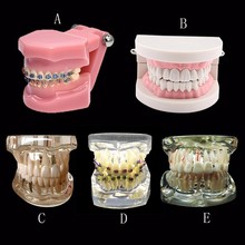 Various Dental Teeth Models Are Used For Teaching And Hospital Dentist Material 2024 - buy cheap