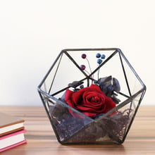 Mesa de exibição suculenta samambaia musgo vaso de flores planta de ar plantador caixa jardim fadas poliedro vidro geométrico terrário bonsai 2024 - compre barato