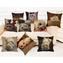 XUNYU-funda de cojín con diseño de gato para el hogar, cubierta decorativa de lino para sofá, a la moda, B0044 2024 - compra barato