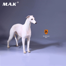 1/6 Collectible Figure Scene Accessories Mr.Z 14th 1/6 Scale No.14 Greyhound Animal Dog Model 6 Colors for 12'' Action Figure 2024 - buy cheap