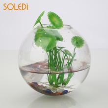 Wall Mounted Glass Vase Wall Hanging Flower Planter Terrarium Container 8cm Vase Decor Hanging Glass Vase Flower Planter Pots 2024 - buy cheap