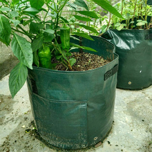 Tomato Potato Grow Planter PE Cloth Planting Container Bag Vegetable gardening jardineria Thicken Garden Pot Planting Grow Bag 2024 - buy cheap