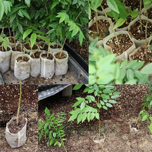 100pcs/Pack Garden Supplies Environmental Protection Nursery Pots Seedling Raising Bags 10*12cm Fabrics 2024 - buy cheap