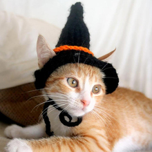 2018 Halloween Party Pet Cat Hat Pet Caps Pumpkin Spider Witch Hat For Animal Pet Costume Decoration Cat Clothes Cap 2024 - buy cheap