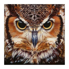 Owl Diamond Painting Cross Stitch Animals Patterns Rhinestone Diamond Embroidery Full Round/Square Diamond Mosaic Needlework 2024 - buy cheap