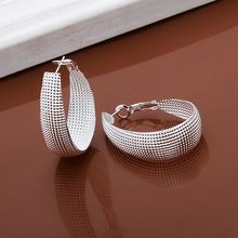 925 jewelry silver plated earrings, 925 jewelry jewelry, Web Earrings E064 2024 - buy cheap