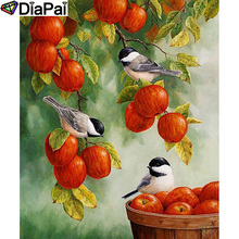 DIAPAI 5D DIY Pintura 100% Praça Cheia de Diamante/Broca Redonda "apple" Diamante Bordado Ponto Cruz Animal ave 3D decor A21496 2024 - compre barato