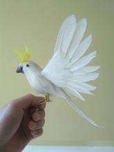 cute simulation wings bird model polyethylene & furs white bird gift about 25x20cm 1457 2024 - buy cheap